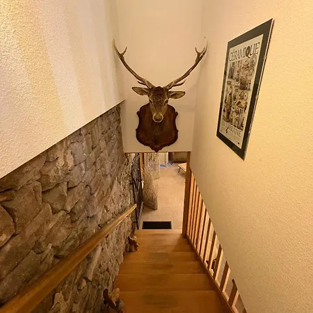 Bed and breakfast Du Ruxelier J&d