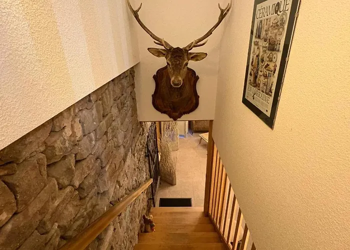 Bed & Breakfast Du Ruxelier J&d